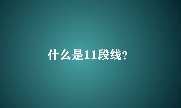 什么是11段线？