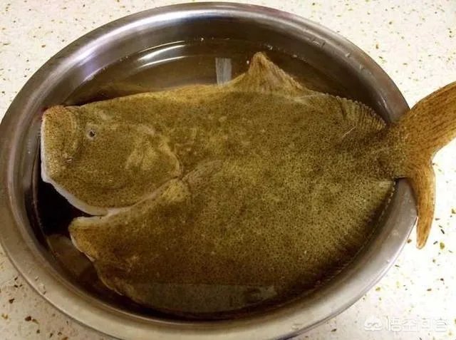 怎么挑选最鲜的海鲜？