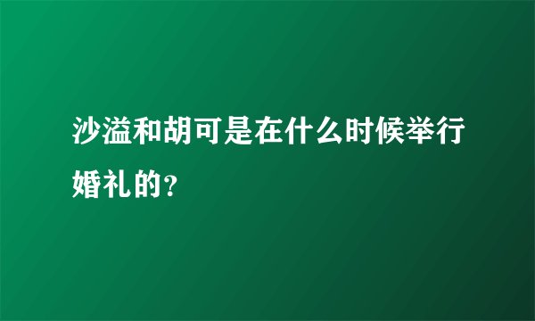 沙溢和胡可是在什么时候举行婚礼的？