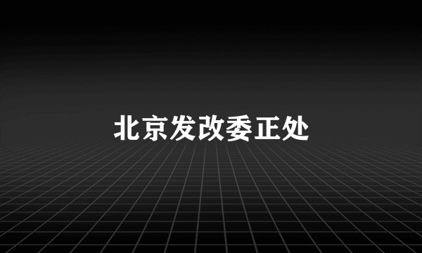 北京发改委正处