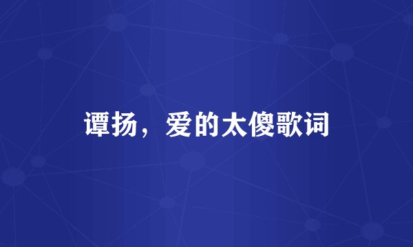 谭扬，爱的太傻歌词