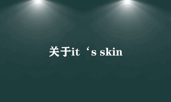 关于it‘s skin