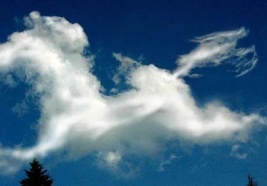 浮云是什么意思？