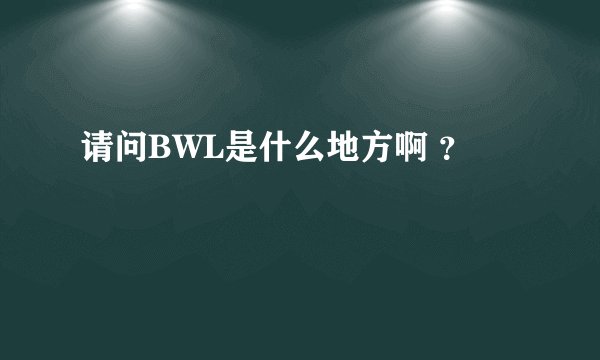 请问BWL是什么地方啊 ？