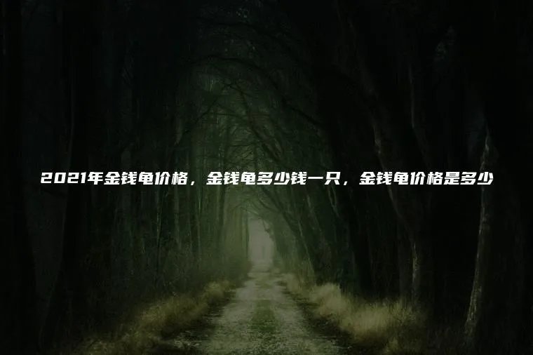 2021年金钱龟价格，金钱龟多少钱一只，金钱龟价格是多少