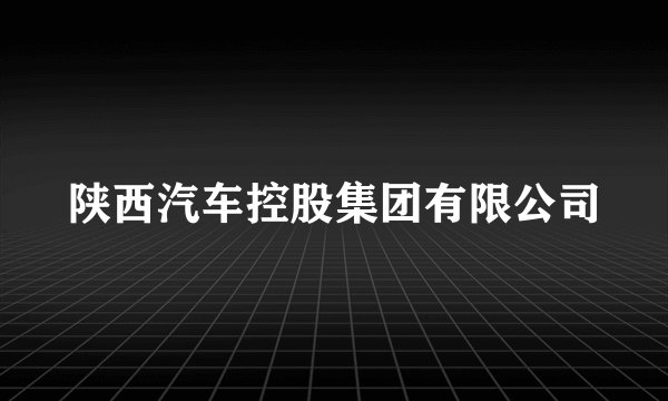 陕西汽车控股集团有限公司