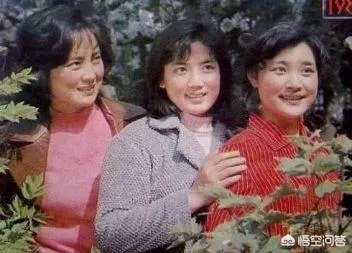 老演员张金玲简历？