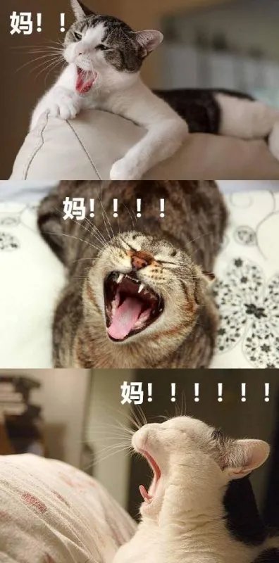 网上聊天时，你更喜欢用符号还是表情包来表达自己的心情？