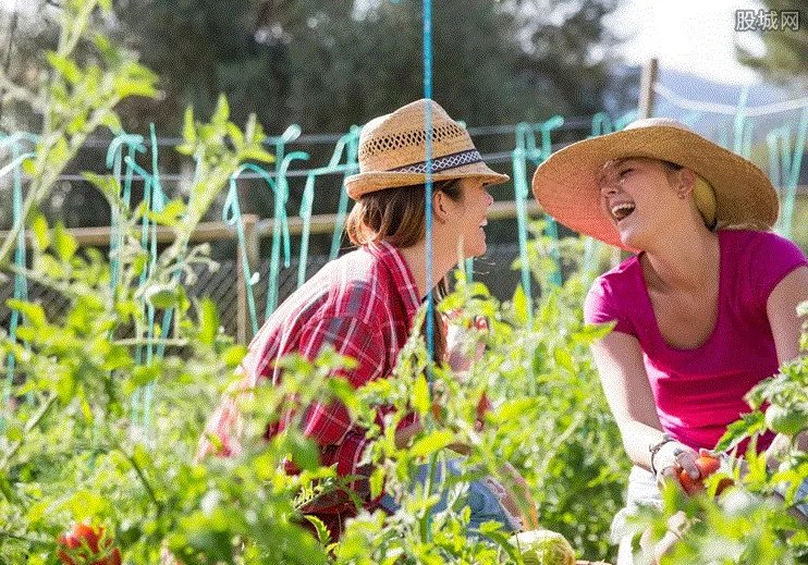 在农村做什么生意好 这五种生意不错！