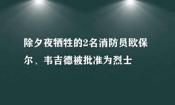 除夕夜牺牲的2名消防员欧保尔、韦吉德被批准为烈士