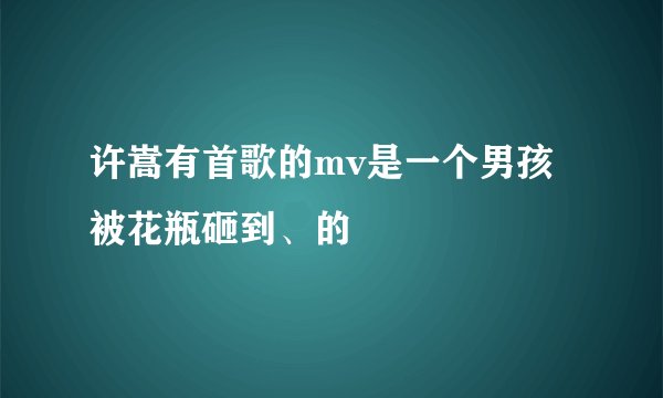 许嵩有首歌的mv是一个男孩被花瓶砸到、的