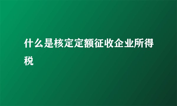 什么是核定定额征收企业所得税