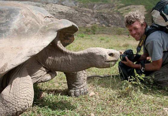 世界上最大的乌龟，象龟重达375公斤（龟中“巨人”）