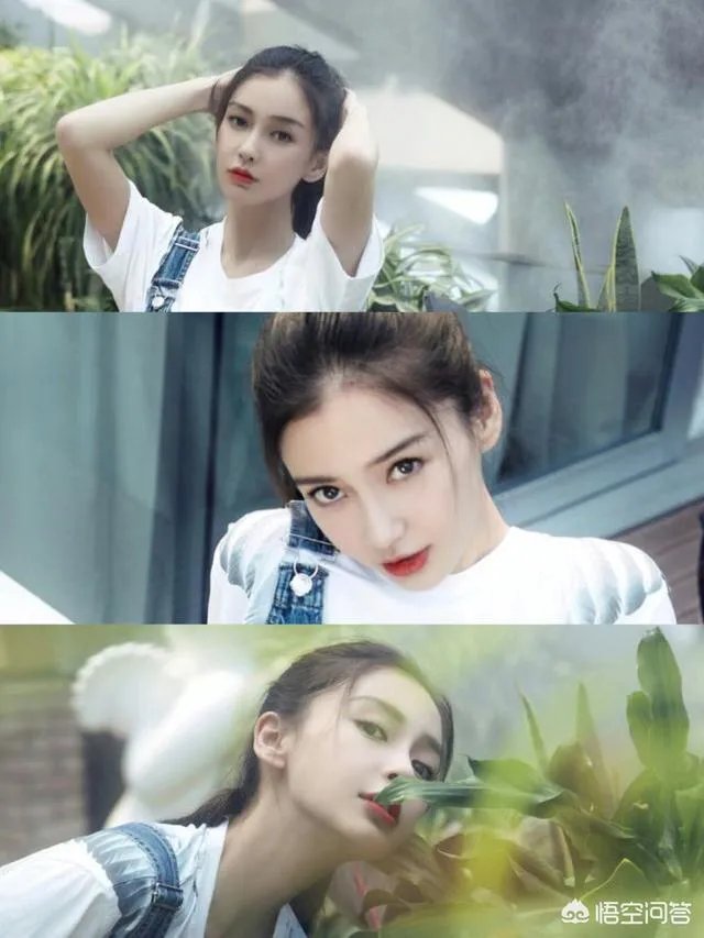 怎么看待杨颖的粉丝的行为？