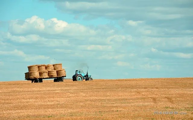 【粮机】粮机的主要种类有哪些 粮机该怎样维护与保养