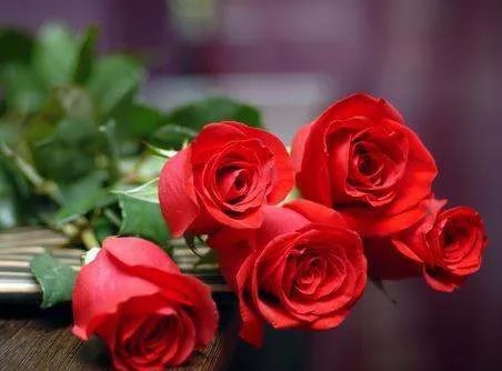 五朵玫瑰花代表什么意思？