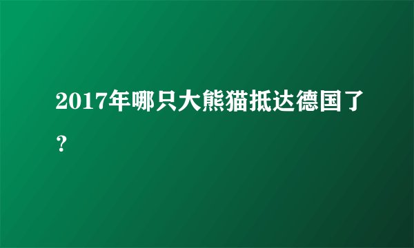 2017年哪只大熊猫抵达德国了？