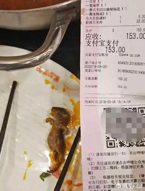 孕妇吃火锅捞出老鼠，店家疑称“给2万把孩子打了”，对此你怎么看？