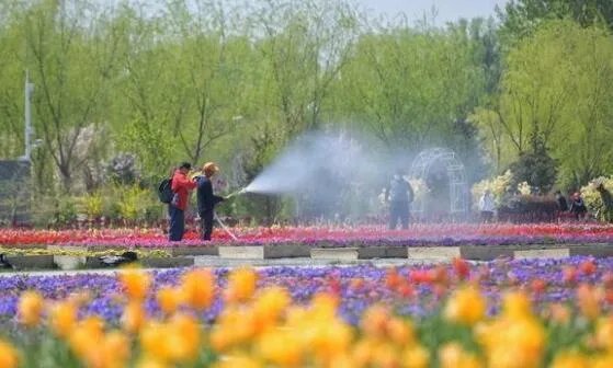 五一劳动节北京的天气怎么样 2021北京五一天气预报出炉