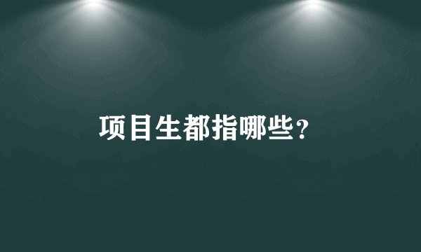 项目生都指哪些？
