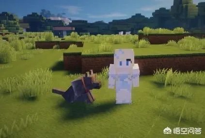 我的世界粉鱼真人照片