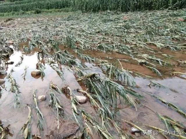 今年首个登陆我国的台风木恩要来了，对农民来说有哪些影响？