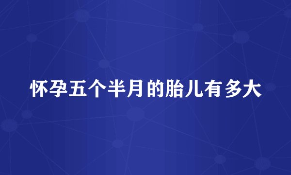 怀孕五个半月的胎儿有多大