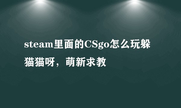 steam里面的CSgo怎么玩躲猫猫呀，萌新求教