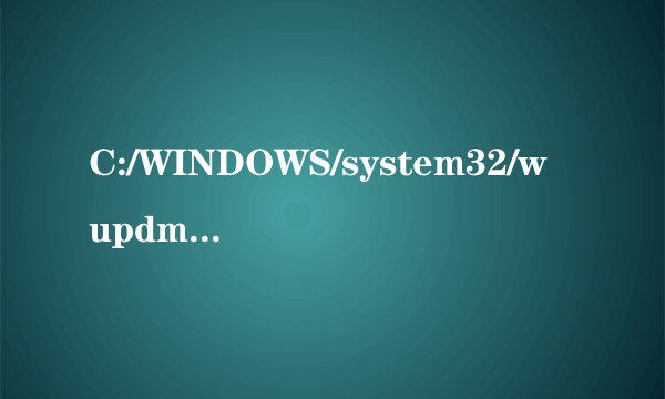 C:/WINDOWS/system32/wupdmgr.exe 这是什么文件啊？大哥 大侠帮帮我看看！