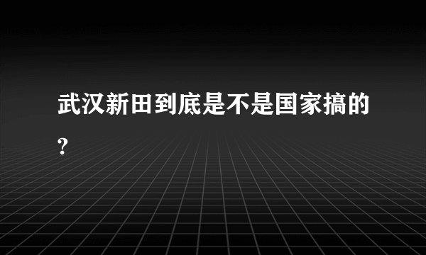 武汉新田到底是不是国家搞的?