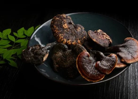 灵芝的年份越久功效越好吗  灵芝长的时间是不是越长越好