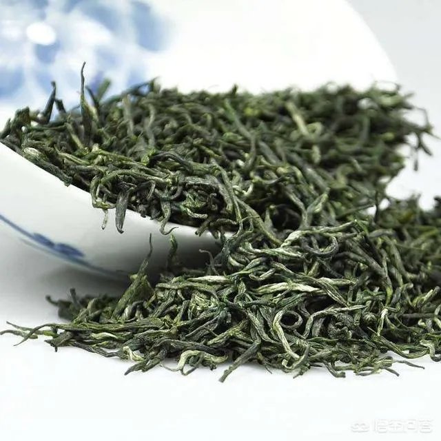 如何辨别信阳毛尖新茶？