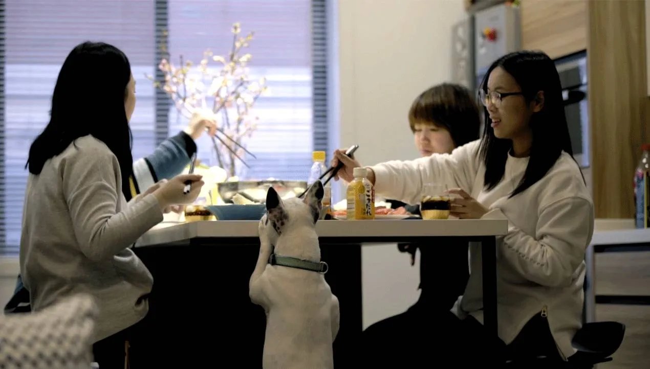 妙屋集 | 从格局改造到细节设计，这个家你可以借鉴的太多