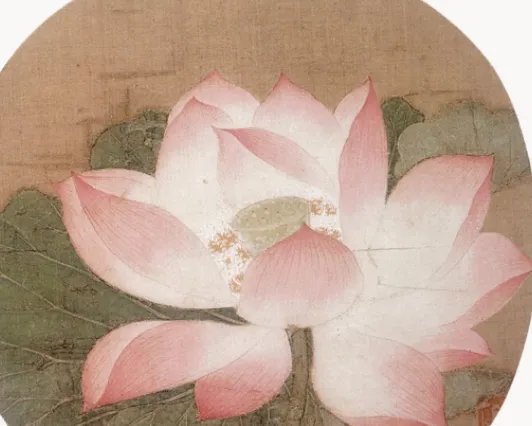 爱莲说翻译简短20字