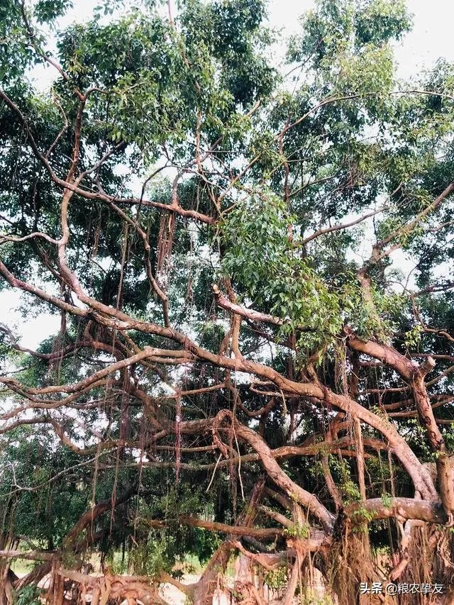 如何看待喜欢通过社交软件交友的人？