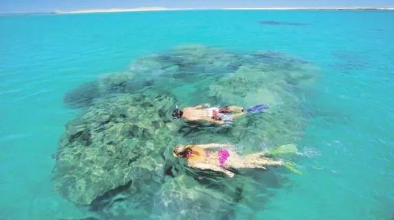 3名中国游客失踪在印尼潜水失踪 这究竟是怎么回事？