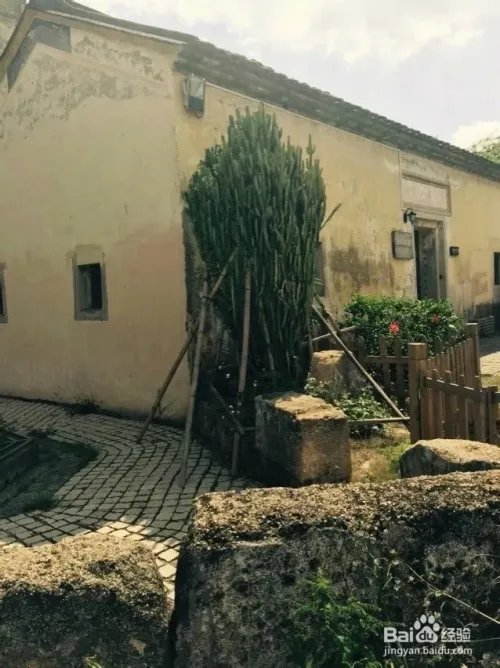 深圳观澜版画村怎么去，好不好玩？