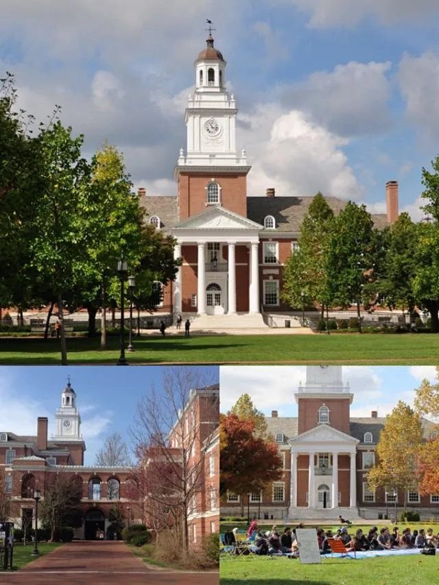 美国公布的疫情数据是不是假的，开始想隐瞒，现在想放大？