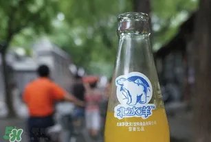 北冰洋汽水多少钱一瓶？北冰洋汽水价格