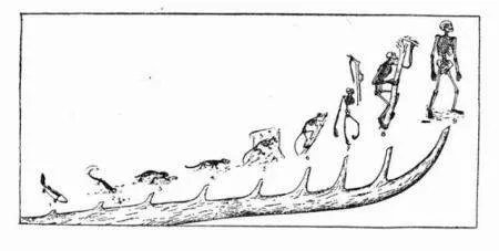 科学家证实，人类是从鱼类进化来的，进化过程大概是怎样的？