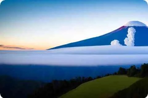 呼叫大明星详细资料大全