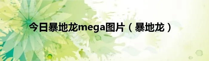 今日暴地龙mega图片（暴地龙）
