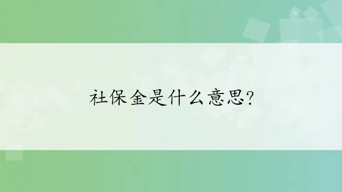 社保金是什么意思？