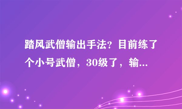 踏风武僧输出手法？目前练了个小号武僧，30级了，输出有没有什么手法？