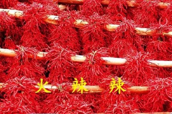 辣的拼音和组词是怎样的？