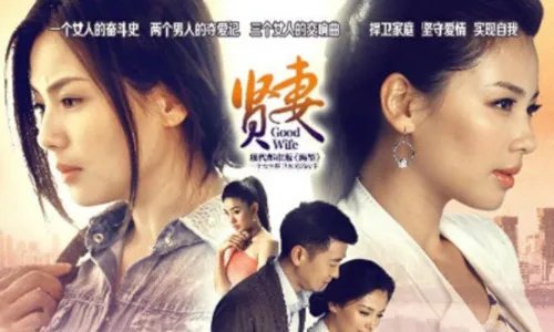 贤妻分集剧情介绍 看刘涛凤凰还巢