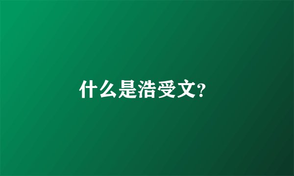 什么是浩受文？