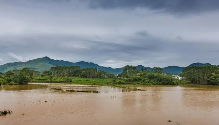 酸雨是怎样形成的 我国三大酸雨区分别为