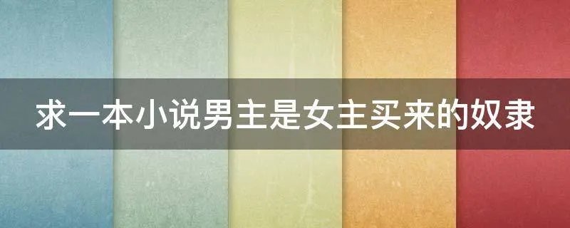 求一本小说男主是女主买来的奴隶
