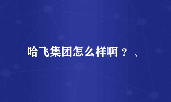 哈飞集团怎么样啊 ？、
